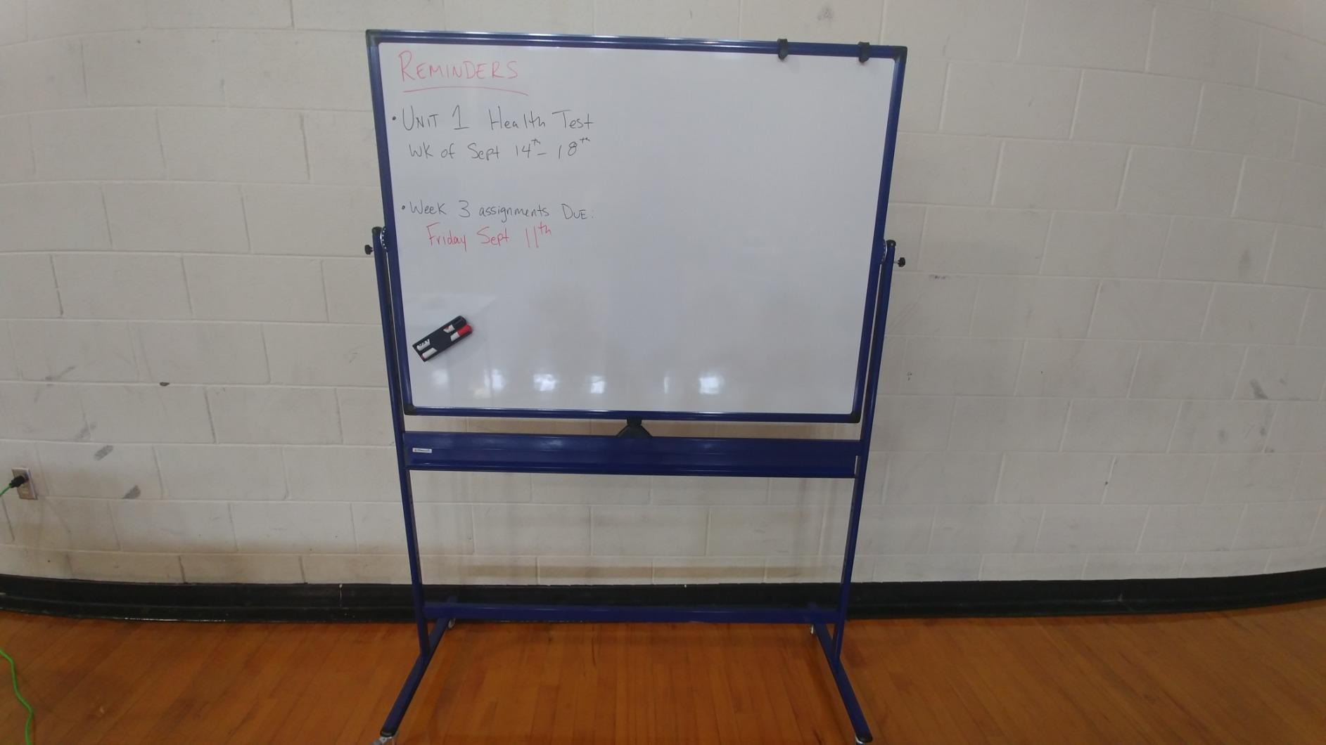 Kamelleo Rolling Whiteboard on Wheels 48
