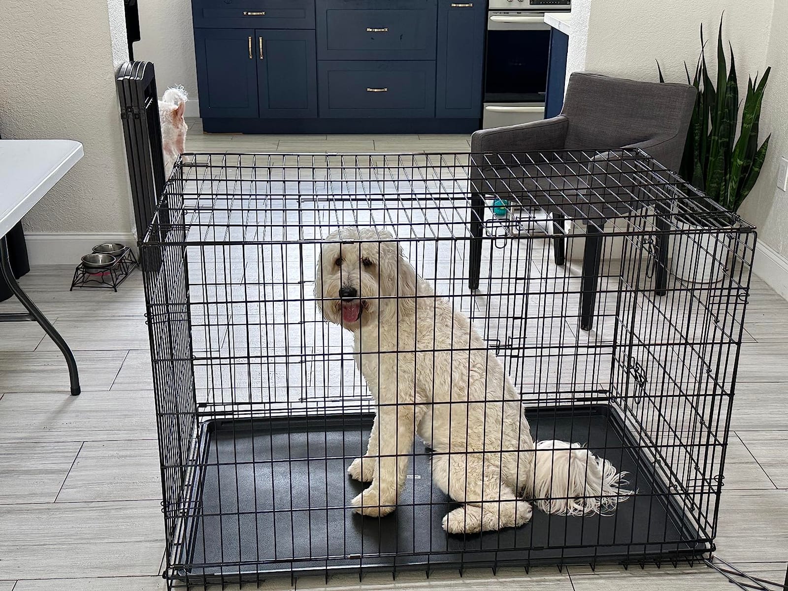 BestPet | Dog Crate | 48