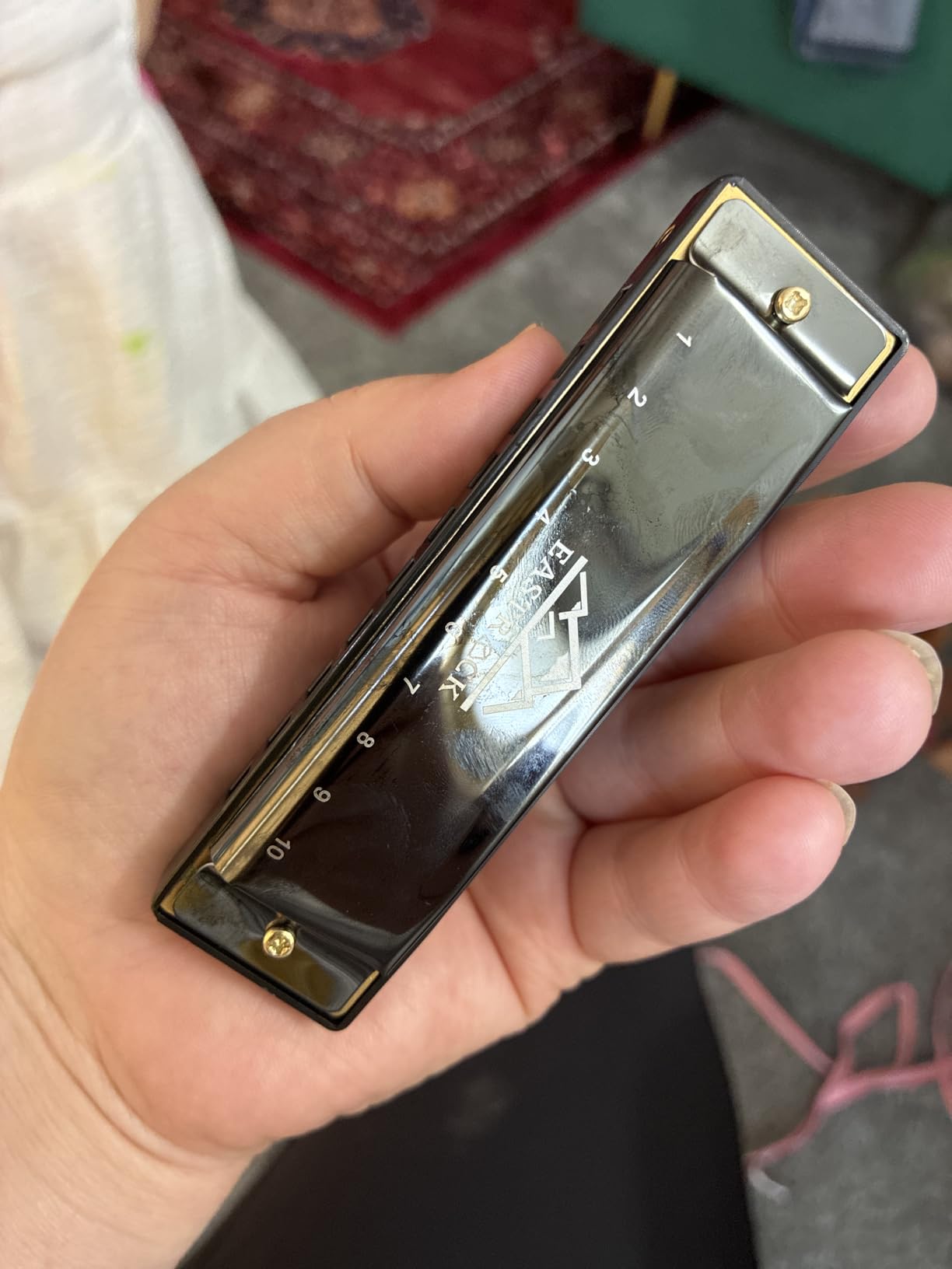 EastRock 10 Hole Blues Harmonica C Key Black with Case for Adults Beginner customer photo 1