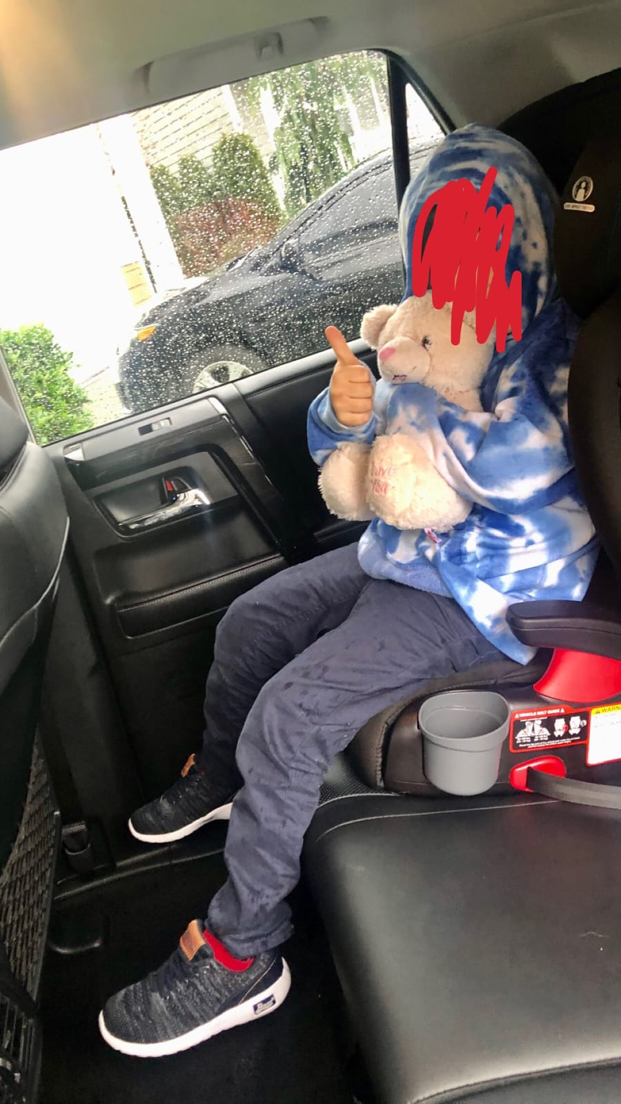 Britax Skyline 2-Stage Belt-Positioning Booster Car Seat, Dusk customer photo 2