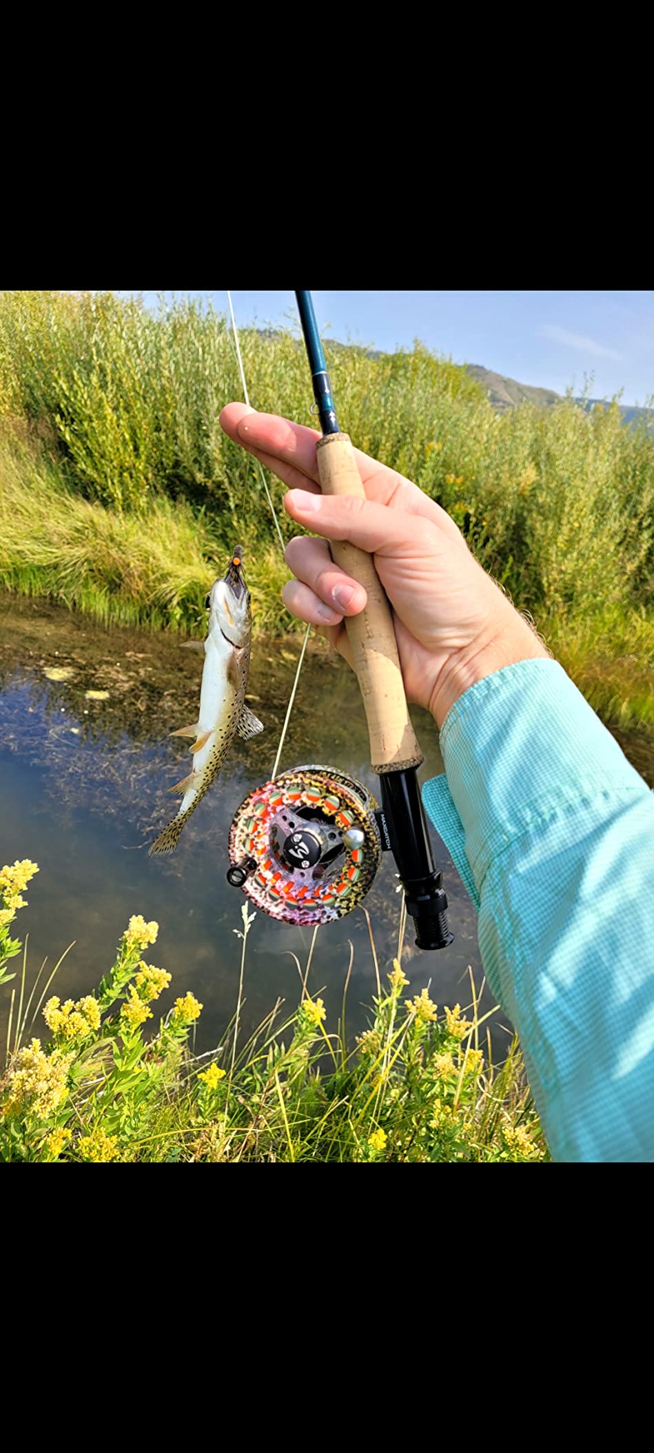 M MAXIMUMCATCH Maxcatch ECO Large Arbor Fly Fishing Reel (3/4wt 5/6wt 7/8wt) and Pre-Loaded Fly Reel with Line Combo customer photo 1