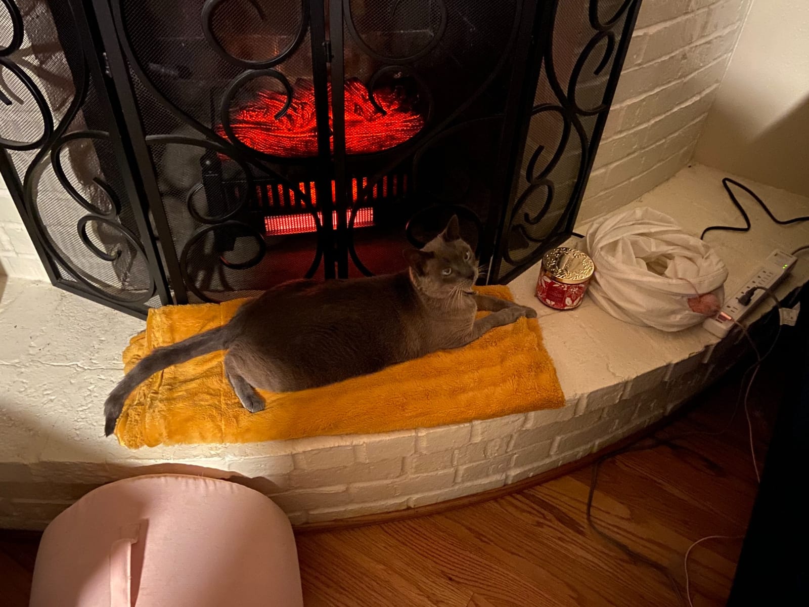 duraflame Electric Log Set 1,000 Sq Ft Infrared Heater, Faux Logs Insert with LED Flames for Existing Fireplaces, Crackling Sounds, Remote Control Included customer photo 1