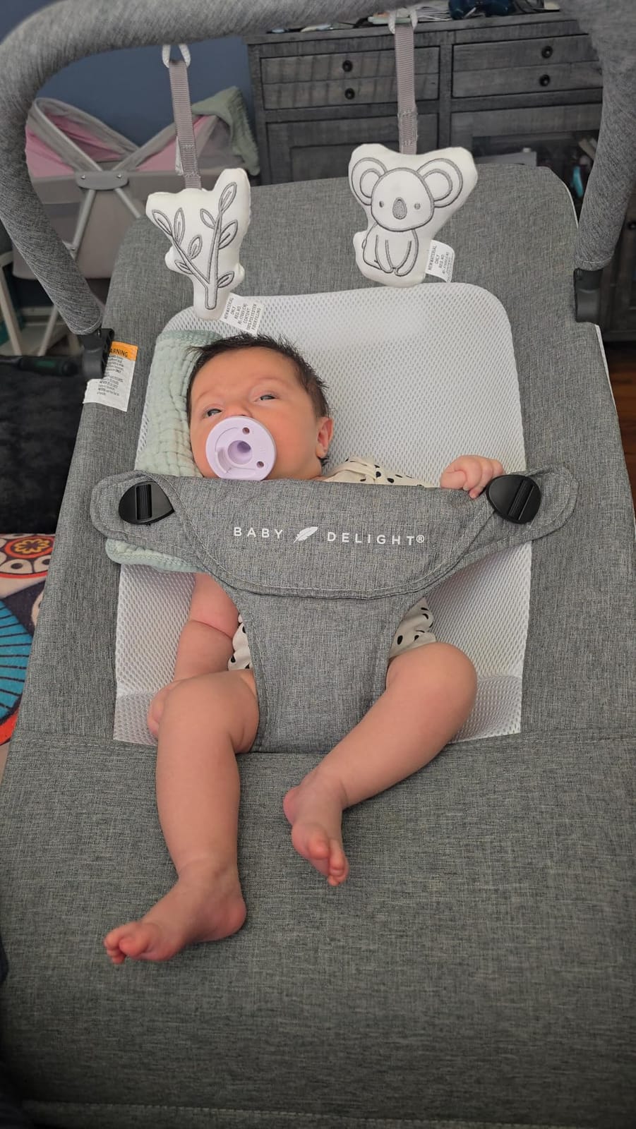 Baby Delight Alpine Deluxe Portable Bouncer | Infant | 0-6 months | Charcoal Tweed | 3-Position Recline, 3-Point Safety Harness, Removable & Washable Cover, Detachable Toy Bar customer photo 2
