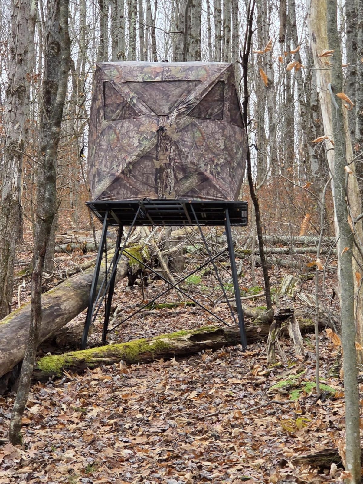 Ameristep Care Taker Ground Blind, Mossy Oak Break Up Country | Comfortably accommodates two hunters, Durable yet lightweight, with an interior coating of customer photo 1