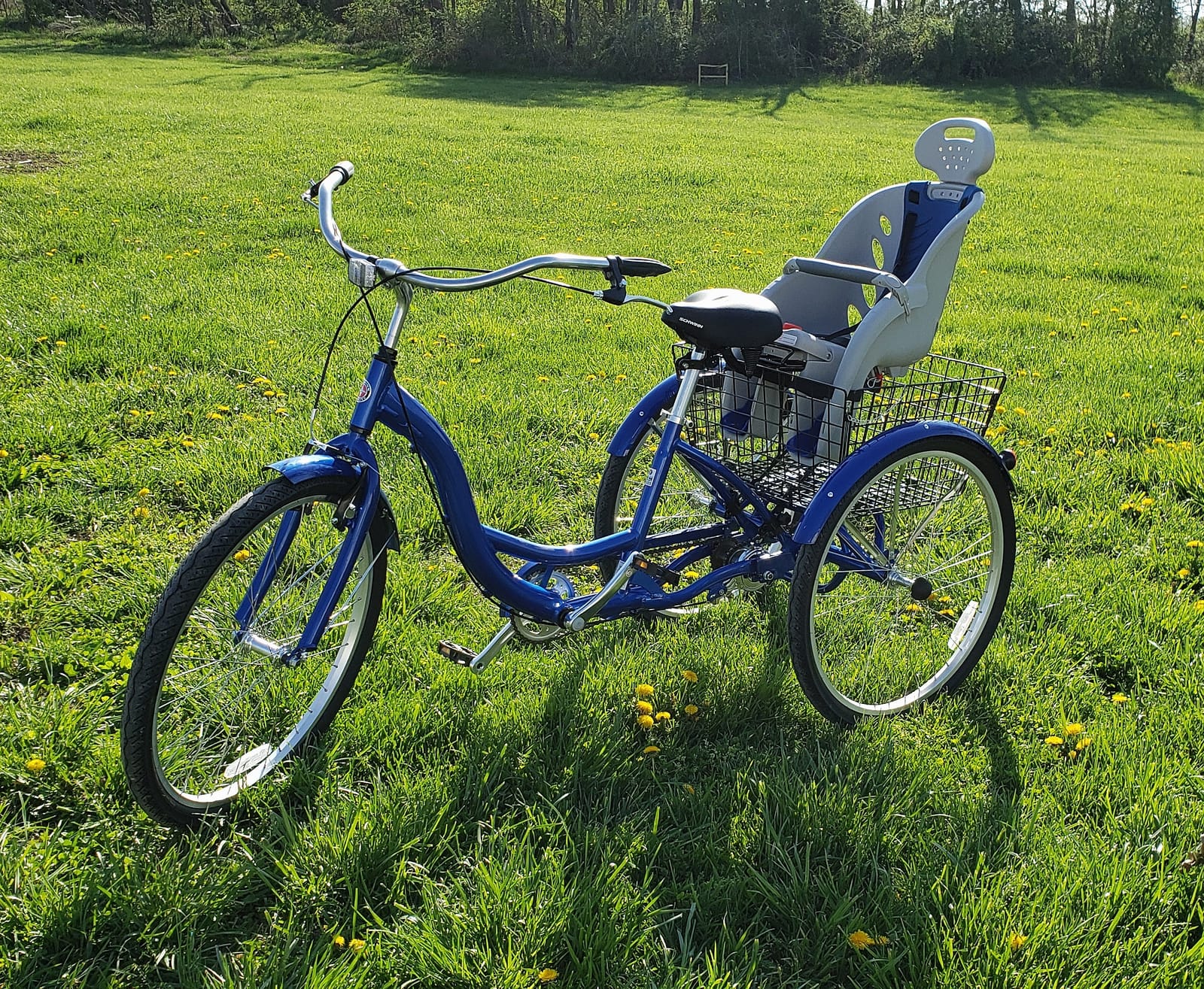 Schwinn Meridian Adult Tricycle, 3-Wheel Cruiser Bike, Single Speed, 26-Inch Wheels, Low Step-Through Frame, Rear Cargo Basket customer photo 1