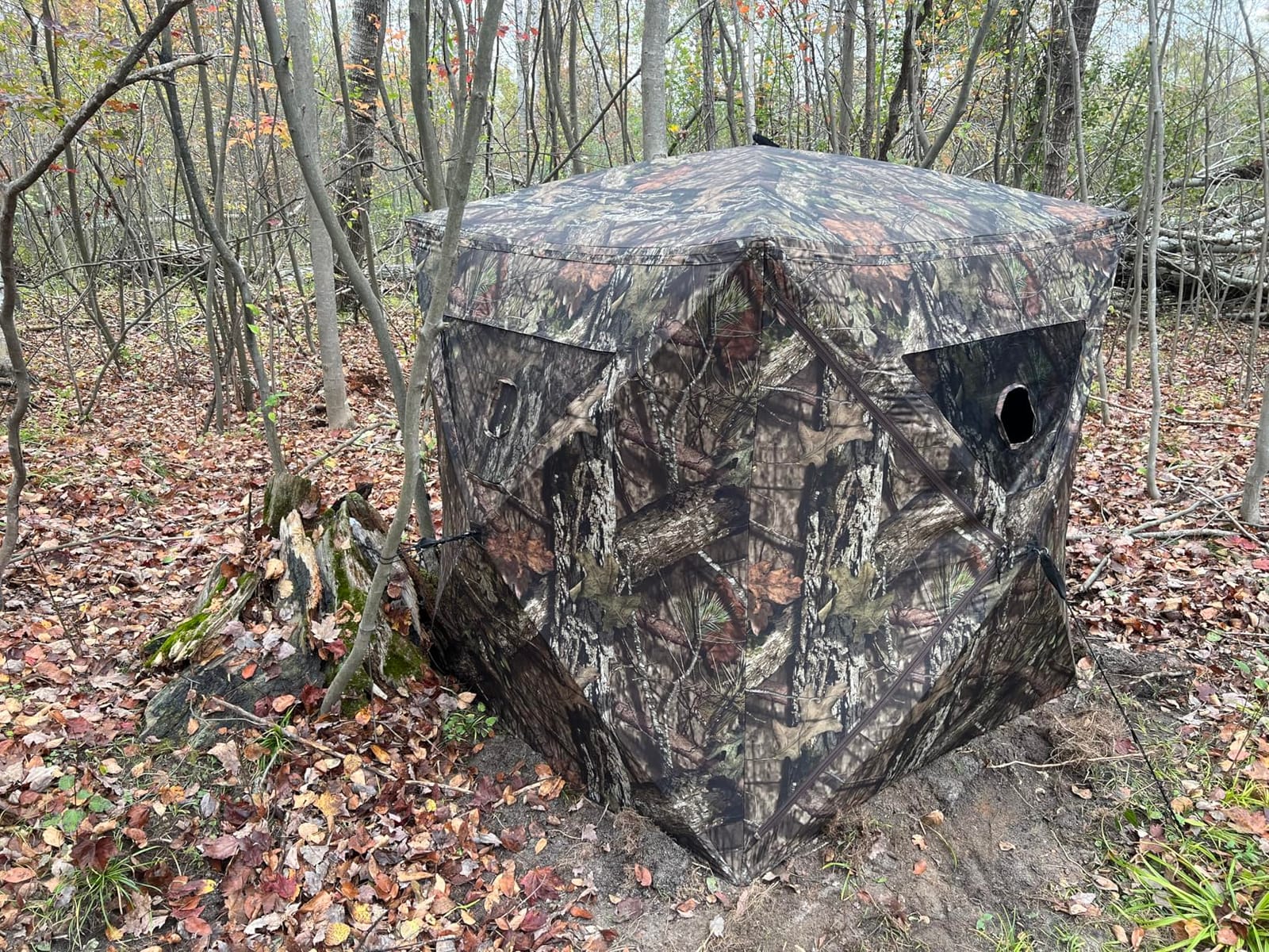 Ameristep Brickhouse Hunting Blind | 3-Person Ground Blind in Mossy Oak Break-Up Country, One Size | 3-person capacity, 59 x 59 x 67 inches, 10 windows, easy setup and takedown customer photo 2