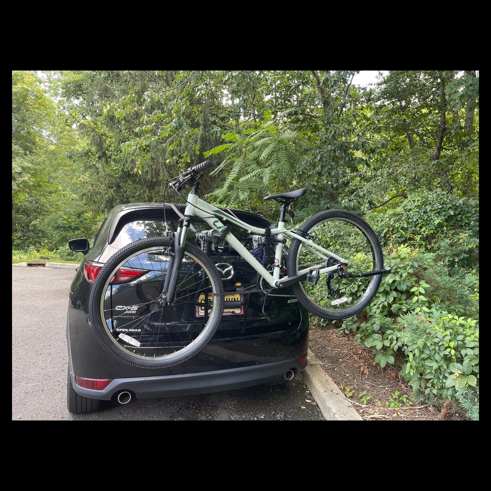 Saris Guardian Trunk Bike Rack - No-Hitch Bicycle Carrier for Car, Sedan, Hatchback, SUV, Van, - Foldable Steel Mount - Easy Installation, American-Made, (35 lbs Each) customer photo 2