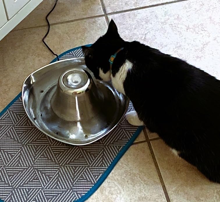 PetSafe Seaside Stainless Cat & Dog Fountain, 60 oz, 2 Filters & Pump | 60 Oz Capacity, 360-Degree Flow, Triple-Filter with 2.5x More Activated Carbon, Scratch/Rust-Resistant Stainless Steel customer photo 1