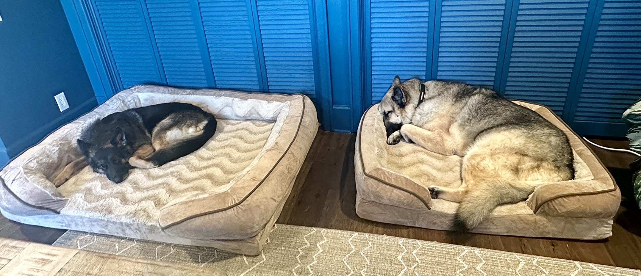 FurHaven Cooling Gel Dog Bed for Large Dogs, Perfect Comfort Sofa Bed with Cool Gel-Top Foam with a Solid Orthopedic Foam Base for Joint Support, Washable Cover, Jumbo XL, Plush & Velvet, Granite Gray customer photo 1