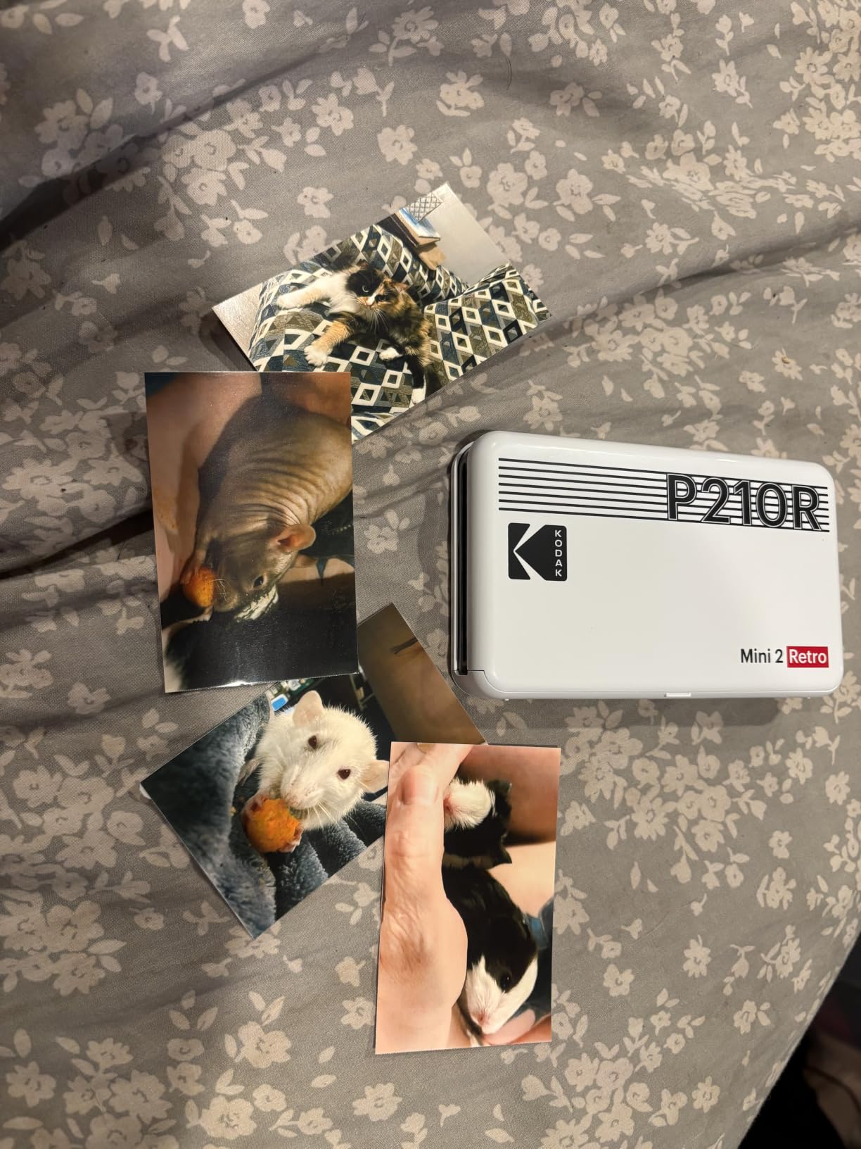 KODAK Mini 2 Retro 2x3 Portable Photo Printer, 38 Sheets, Bluetooth Smartphone Printer for iPhone & Android, Instant Color Prints, 4PASS Dye Sublimation, White customer photo 1