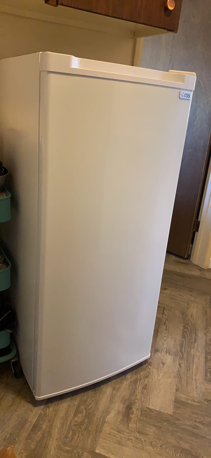 Commercial Cool Upright Freezer, Stand Up Freezer 5 Cu Ft with Reversible Door, White customer photo 1