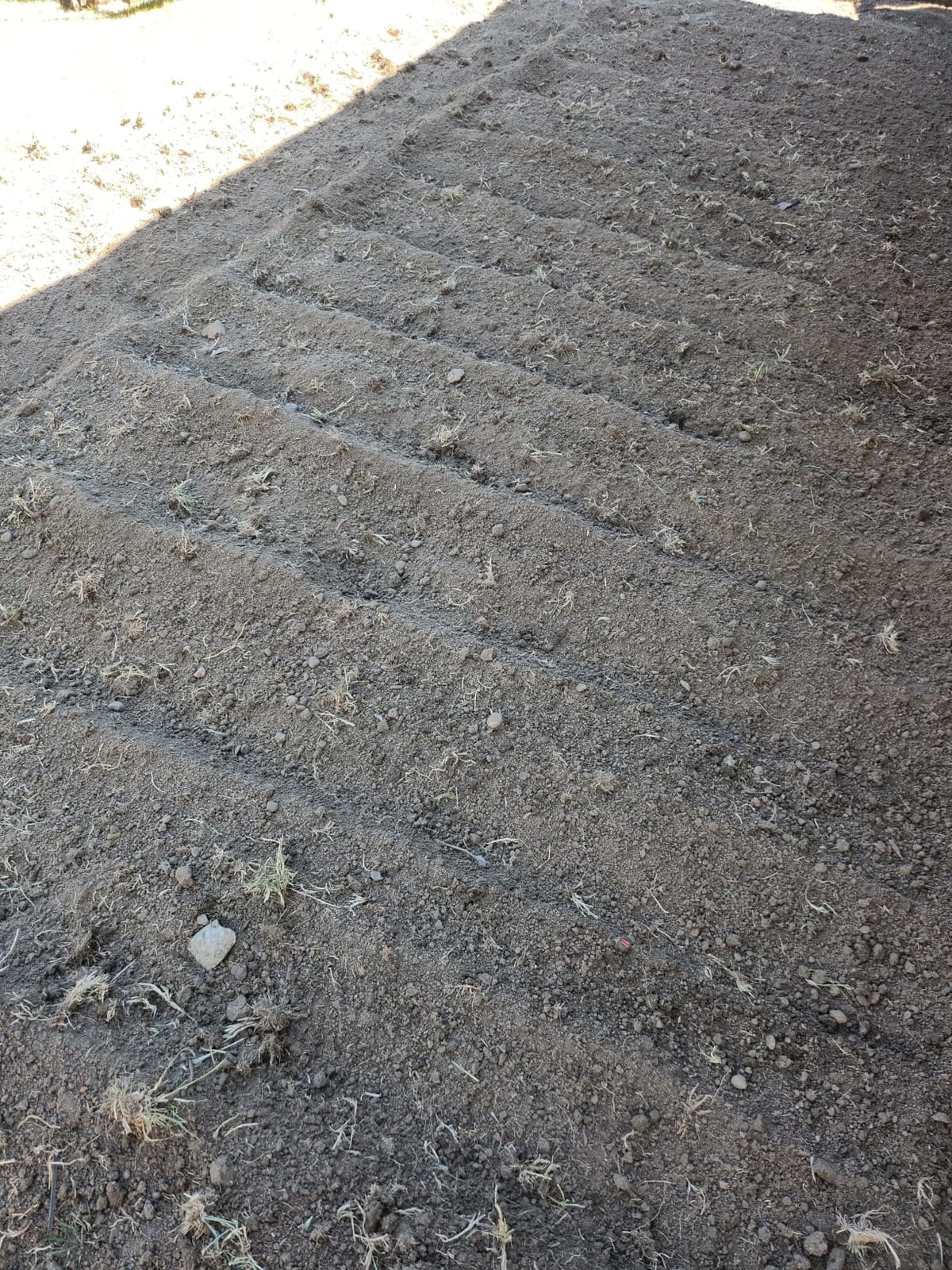 LawnMaster 13.5 Amp 18