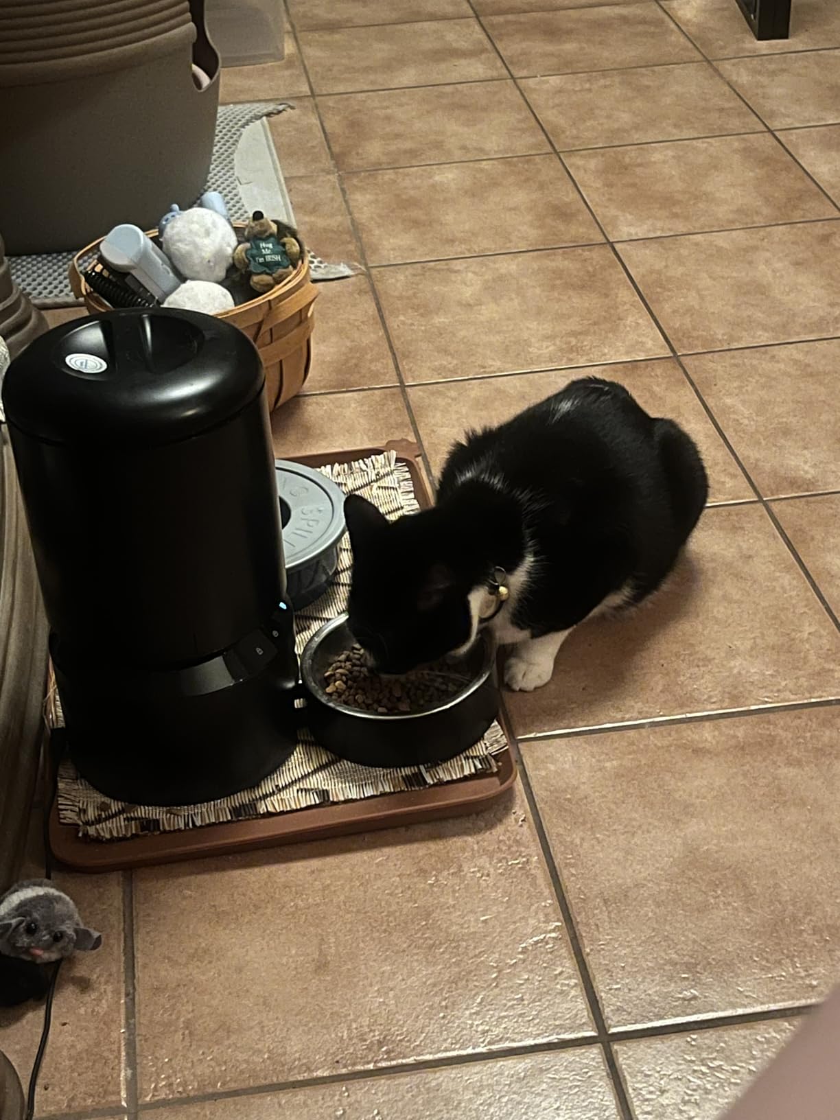 PETLIBRO Automatic Cat Feeder - 3L Programmable Pet Food Dispenser with Airtight Storage, Timed Portion Control, Voice Meal Call & Dual Power Supply, Clog-Free Healthy Feeding for Cats & Small Dogs customer photo 2