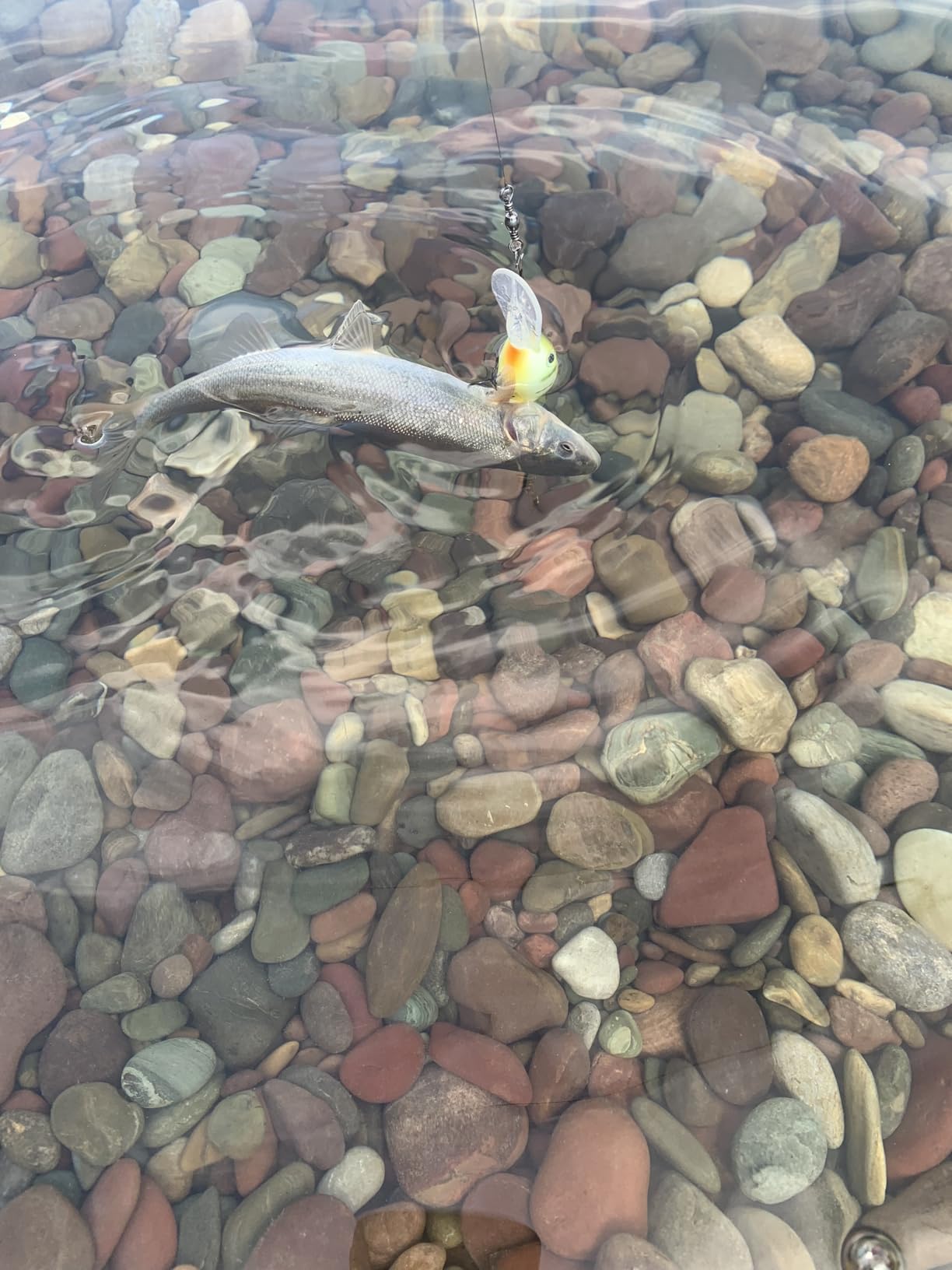 Berkley FireLine Superline Fishing Line customer photo 1