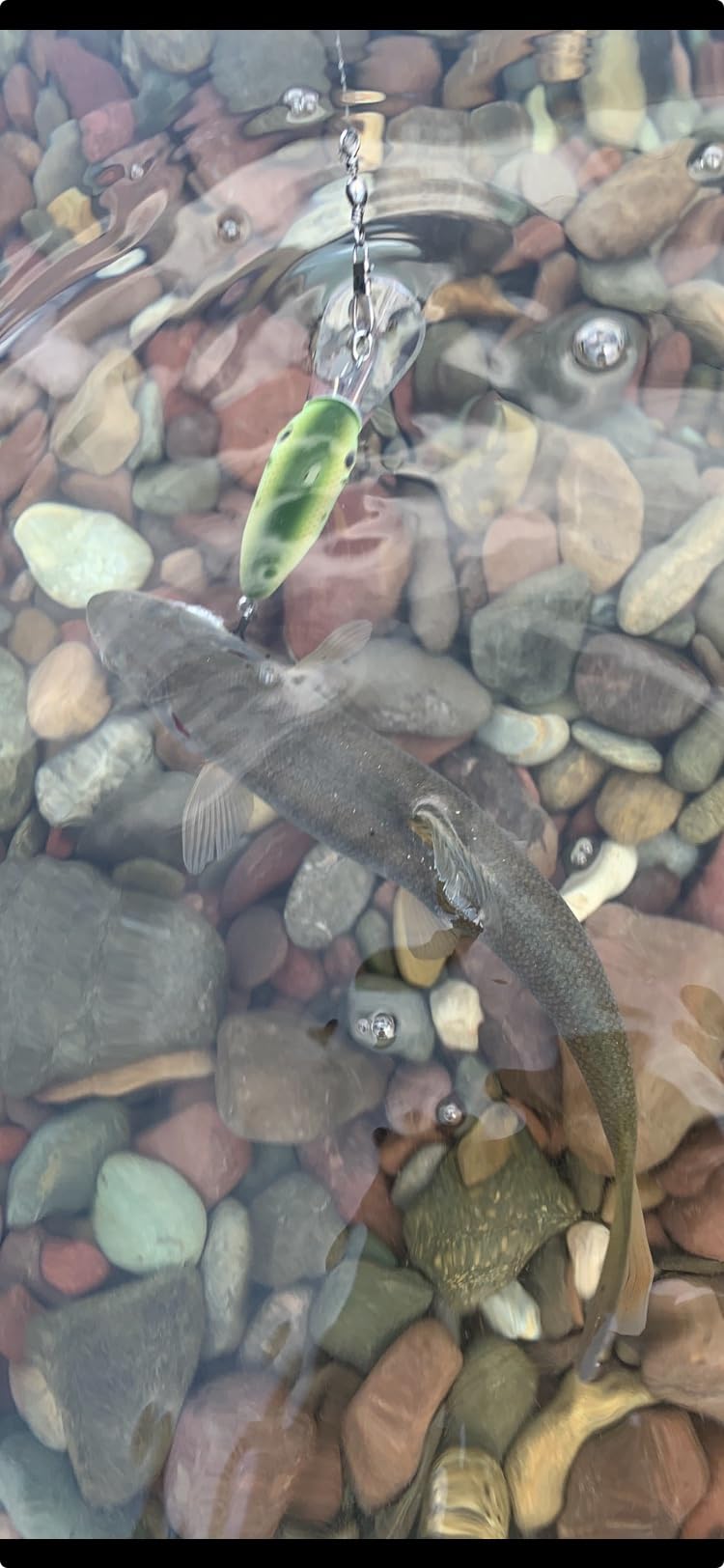 Berkley FireLine Superline Fishing Line customer photo 2