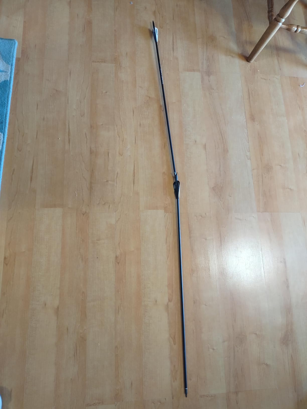 Compound Bow Draw Weight 0-70 Lbs for Pull Beginner and Intermediate Archer Fully Adjustable 19.25-31 with All Accessories, up to IBO 320 fps, Package with Archery Hunting Equipment New 2024 customer photo 1