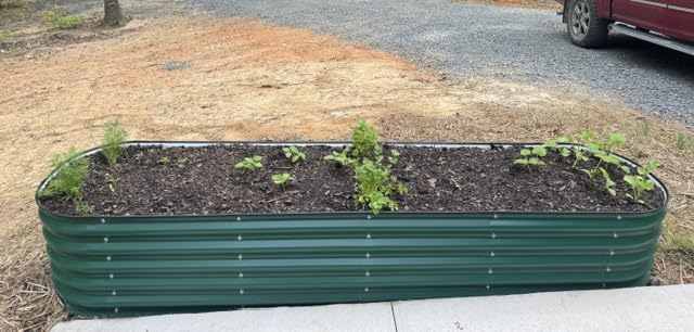 Vego garden Raised Garden Bed Kits, 17