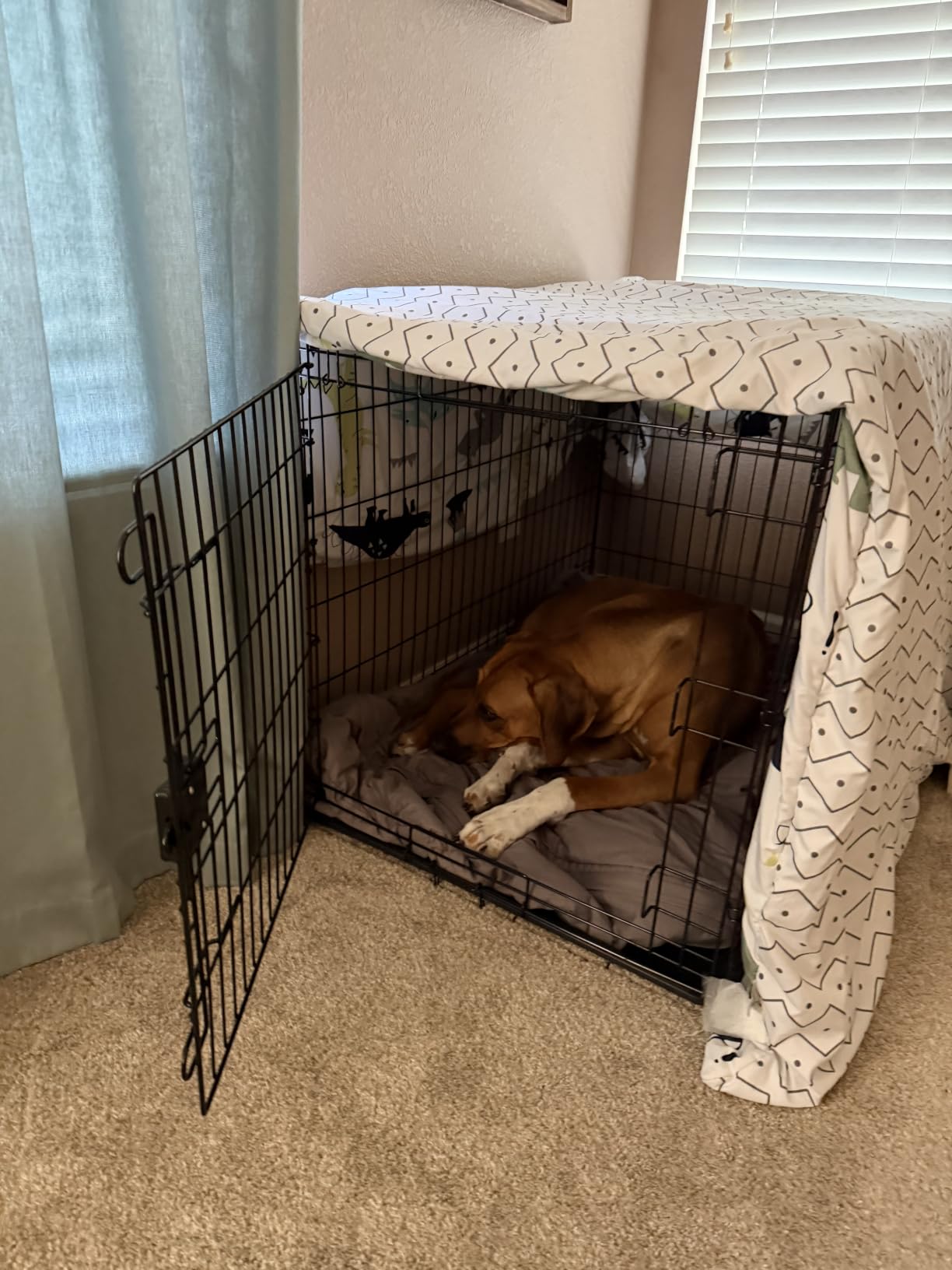 Amazon Basics Portable, Collapsible Metal Wire Dog Crate with Removable Tray, Double Door, Easy to Assemble, Divider Panel for Large Dogs, 42