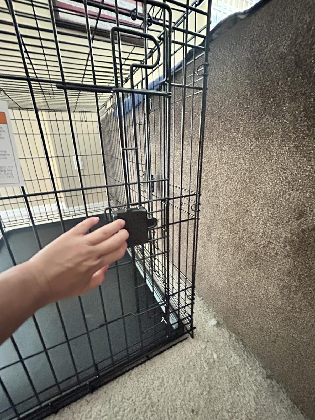 Amazon Basics Portable, Collapsible Metal Wire Dog Crate with Removable Tray, Double Door, Easy to Assemble, Divider Panel for Large Dogs, 42