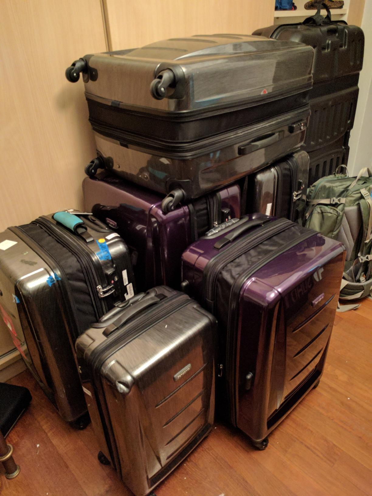 Winfield 2 Hardside Luggage with Spinner Wheels, 3-Piece Set (20/24/28), Cactus Green customer photo 2