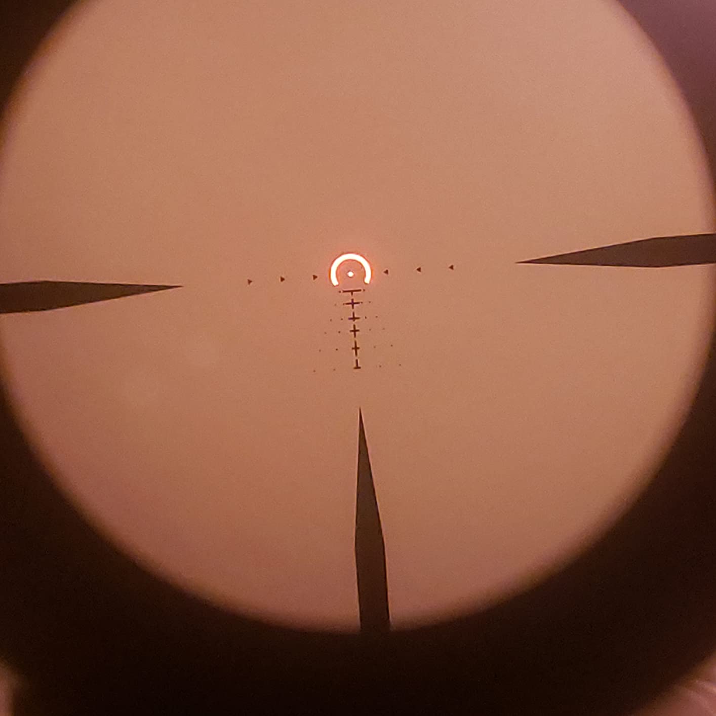 SIG SAUER Tango-MSR LPVO 1-6x24mm Waterproof Fogproof Hunting Riflescope with Alpha-MSR Mount customer photo 2