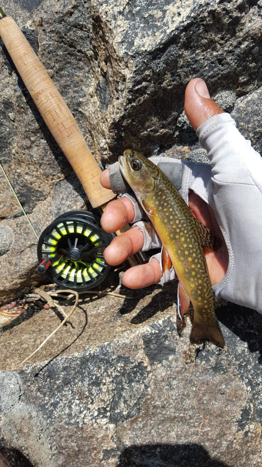 Redington Zero Fly Fishing Reel - Ultralight Trout Reel with Clicker Drag System, Large Arbor, Quick-Change Spool & Twin-Molded Handle - Durable Die-Cast Construction customer photo 1