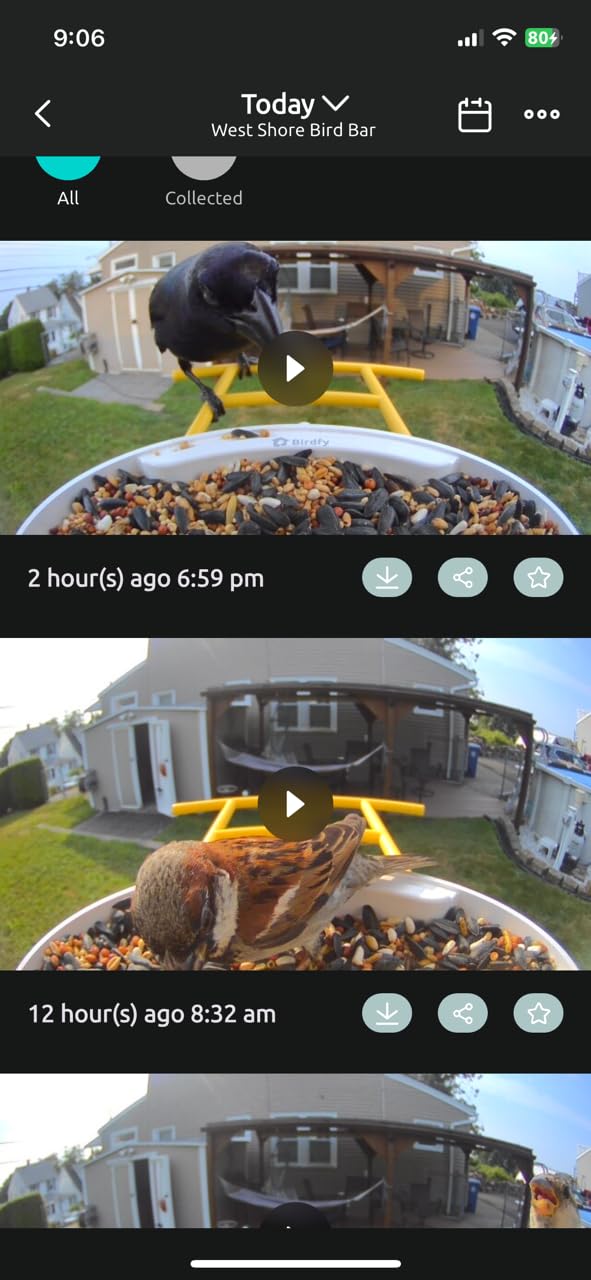 NETVUE by Birdfy Smart Bird Feeder with AI Camera, Auto Capture Videos & Live Stream, Wireless Wildbird Watching, Outdoor Backyard Birder(AI by Subscription) Blue customer photo 2