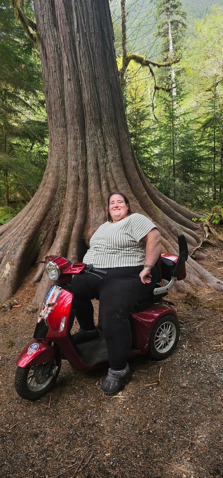 Heavy Duty 3 Wheel Mobility Scooters for Seniors & Adults 500lbs Capacity - Electric Powered Wheelchair Device - 800W All Terrain Fast Mobility Scooter for Outdoor w/Long Range Battery Romote Key customer photo 1
