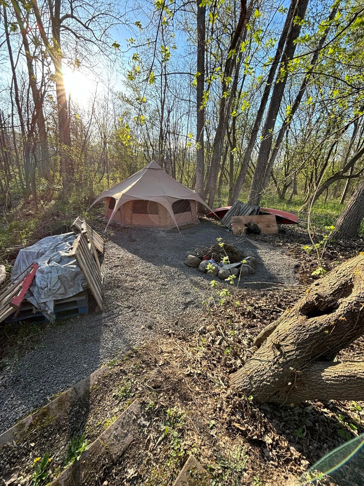 MC TOMOUNT Canvas Bell Tent with Stove Jack, 16.4ft*High9.2ft Glamping Tent | 4 Seasons Yurt Tent for Family Camping, Removable Floor, 8 Mesh Windows for 6-10 Person customer photo 1