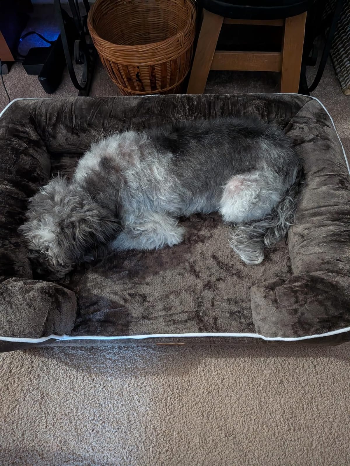 EHEYCIGA Orthopedic Extra Large Dog Bed, Waterproof Washable XL Pet Bed 44