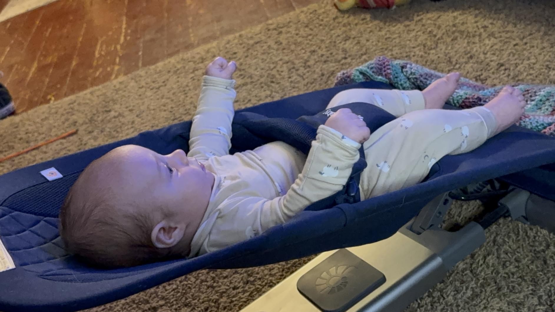 Ergobaby Evolve 3-in-1 Bouncer Seat for Babies and Toddlers 5.5-25 lbs | Multi Position Baby Bouncer Seat with Adjustable Heights, Secure Harness, Newborn Insert, Light Grey customer photo 1