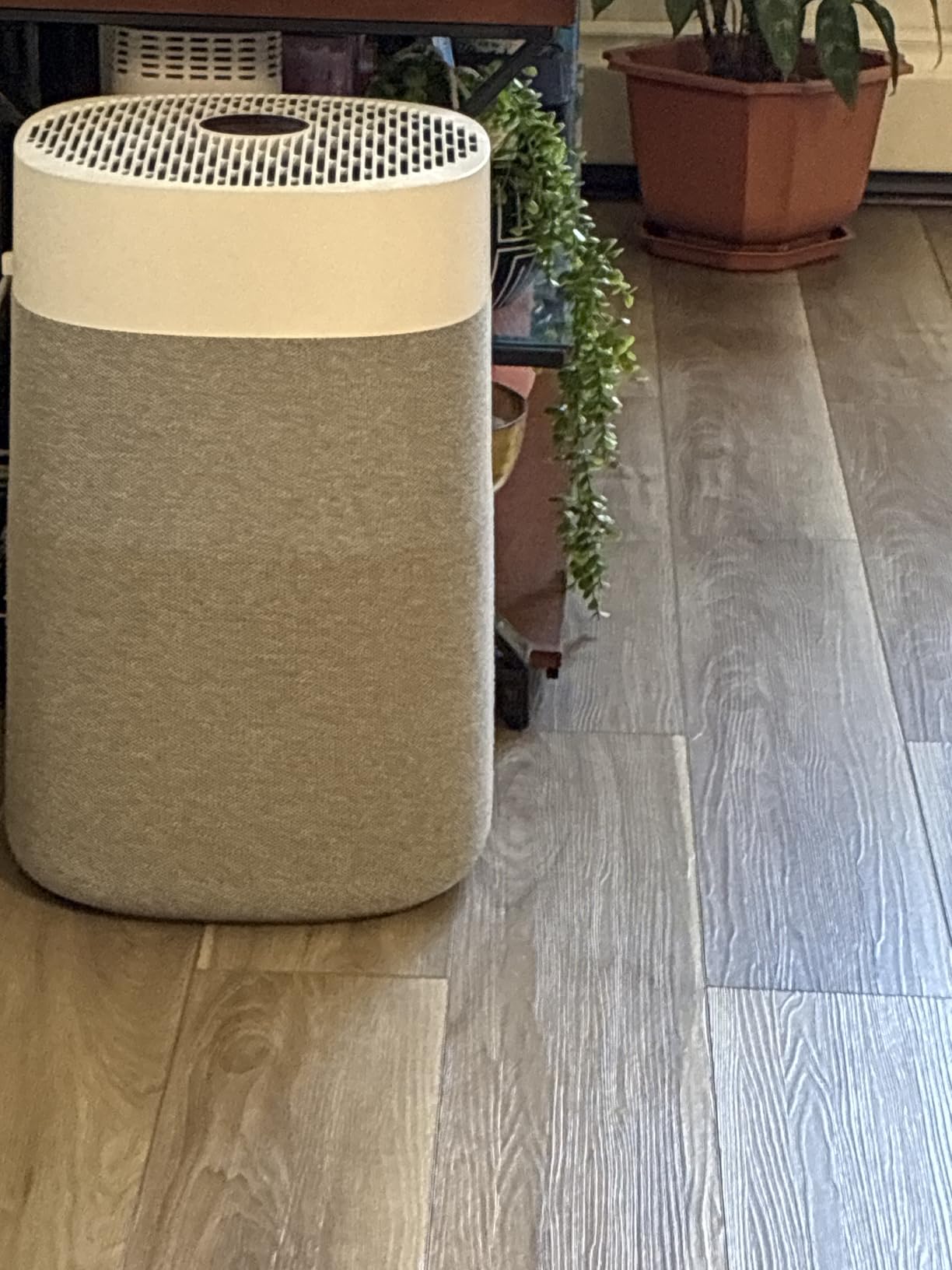 BLUEAIR Blue Pure 211i Max Smart Air Purifier for Large Rooms up to 3,235 Sq Ft, HEPASilent Air Cleaner for Pets, Allergies, Smoke & Dust, WiFi Air Purifier with Auto Mode, Quiet Air Purifier for Home customer photo 2