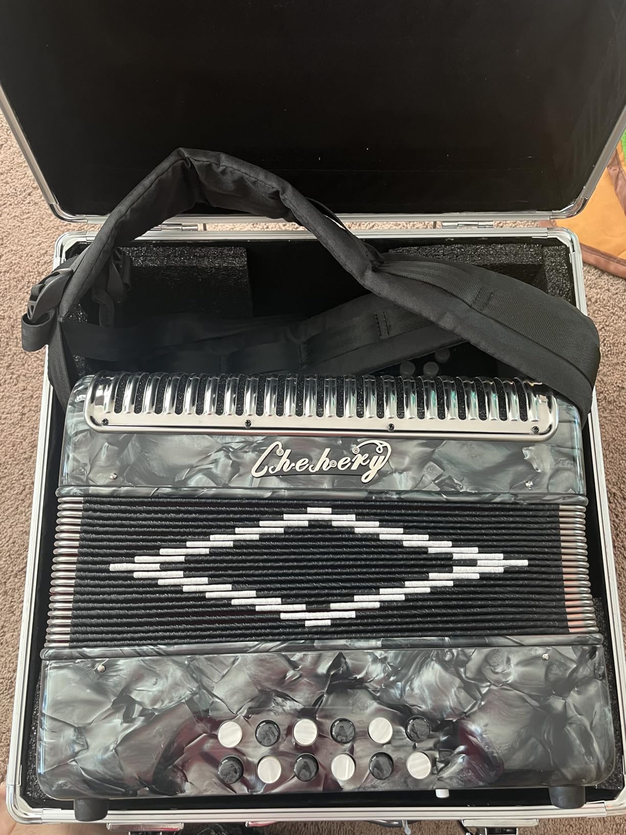Accordion 31Key 12Bass Diatonic G/C/F w Case Strap Gloves Cloth (Black) customer photo 1