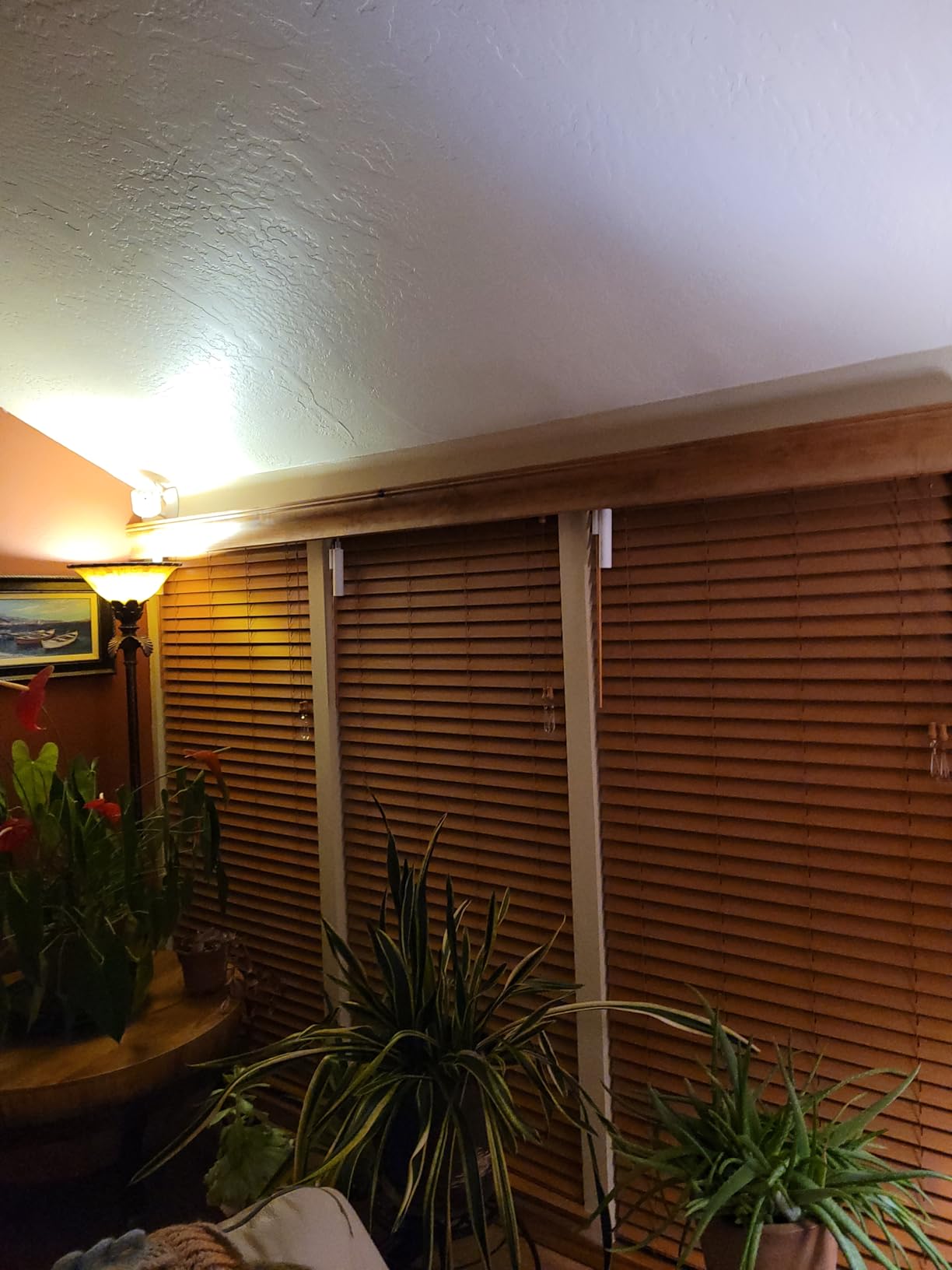 SwitchBot Smart Electric Motorized Blinds Kit - 3Pack with 2.4G WiFi Remote Control, Solar Powered, Compatible with Alexa, Google Home and Siri, Light Sensing Control, Unlimited Group Control customer photo 1