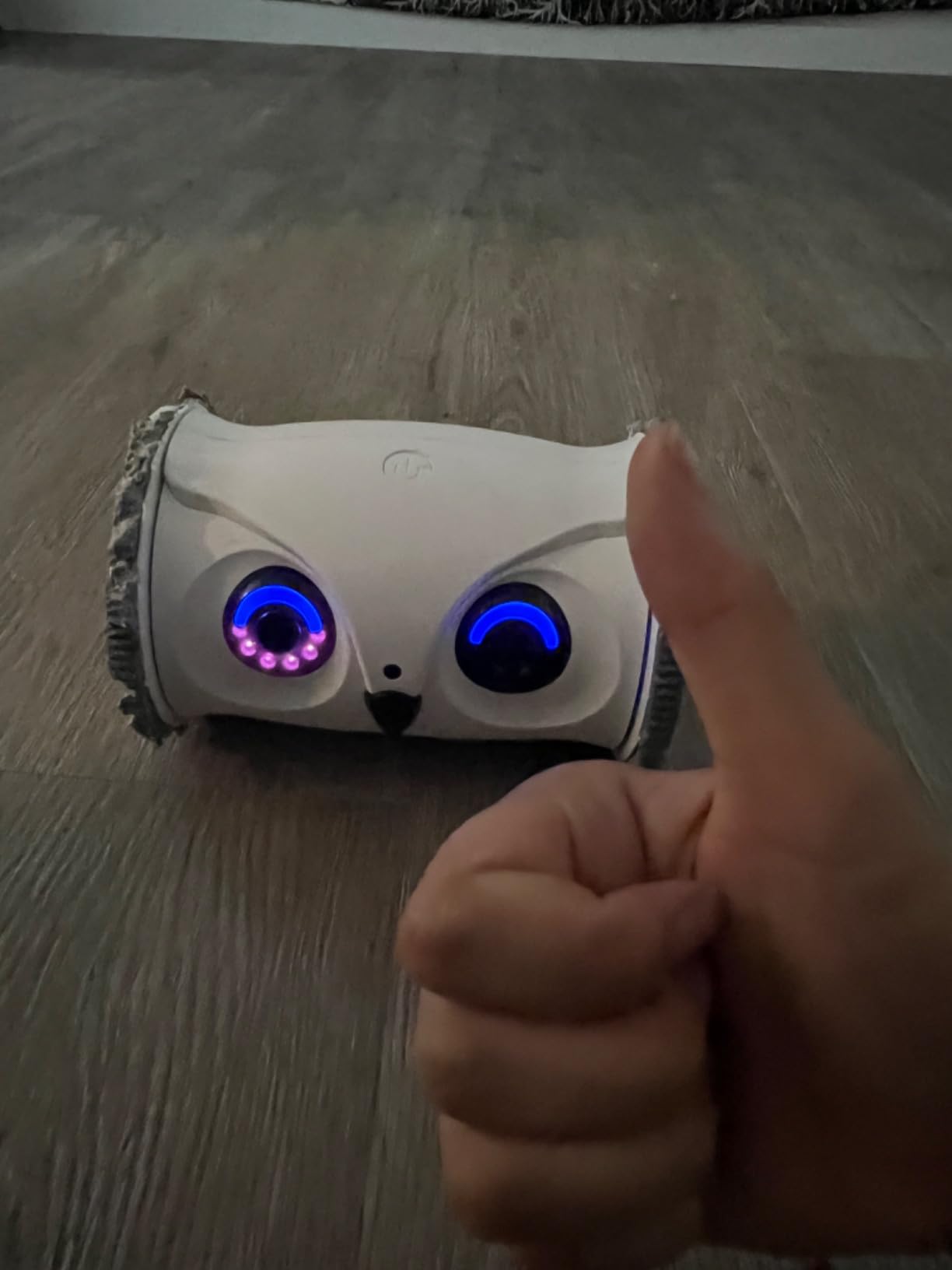 Owl Robot, Pet Camera Treat Dispenser Interactive Toy for Dogs Cats with Remote Phone App Control customer photo 1
