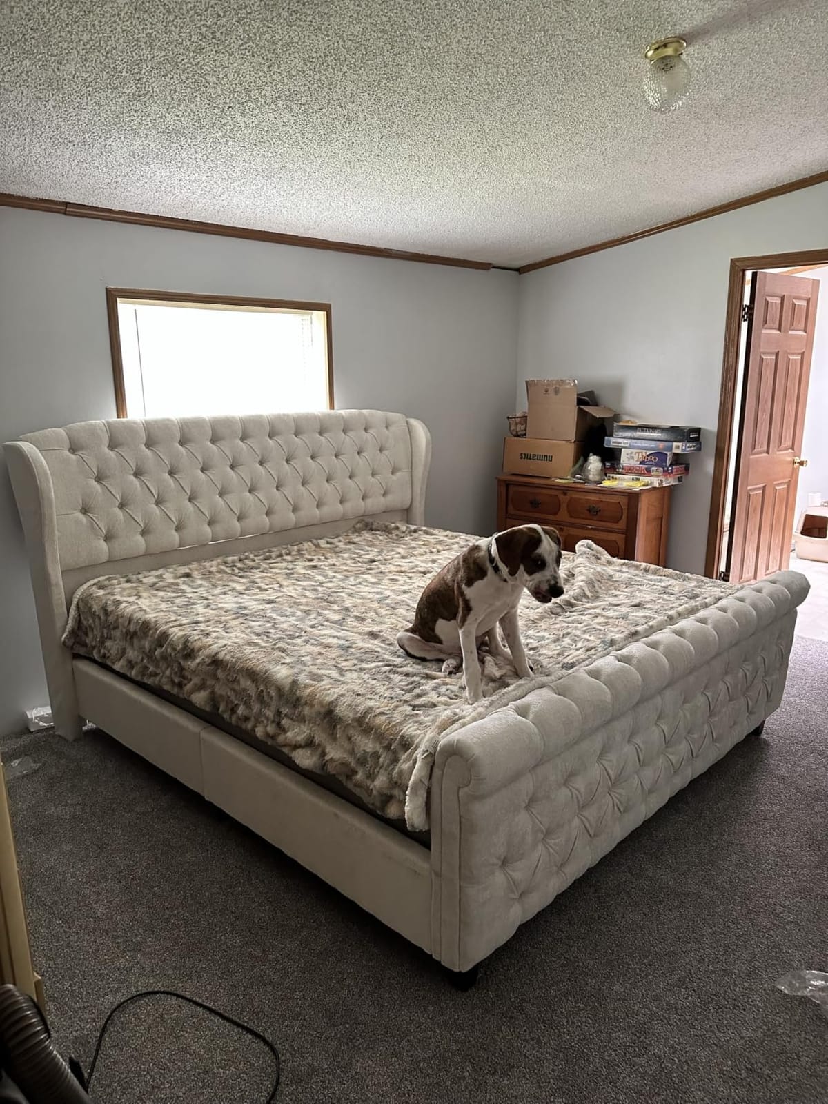 AMERLIFE King Size Upholstered Sleigh Platform Bed Frame with Headboard, Deep Button Tufted, Cream Chenille customer photo 1