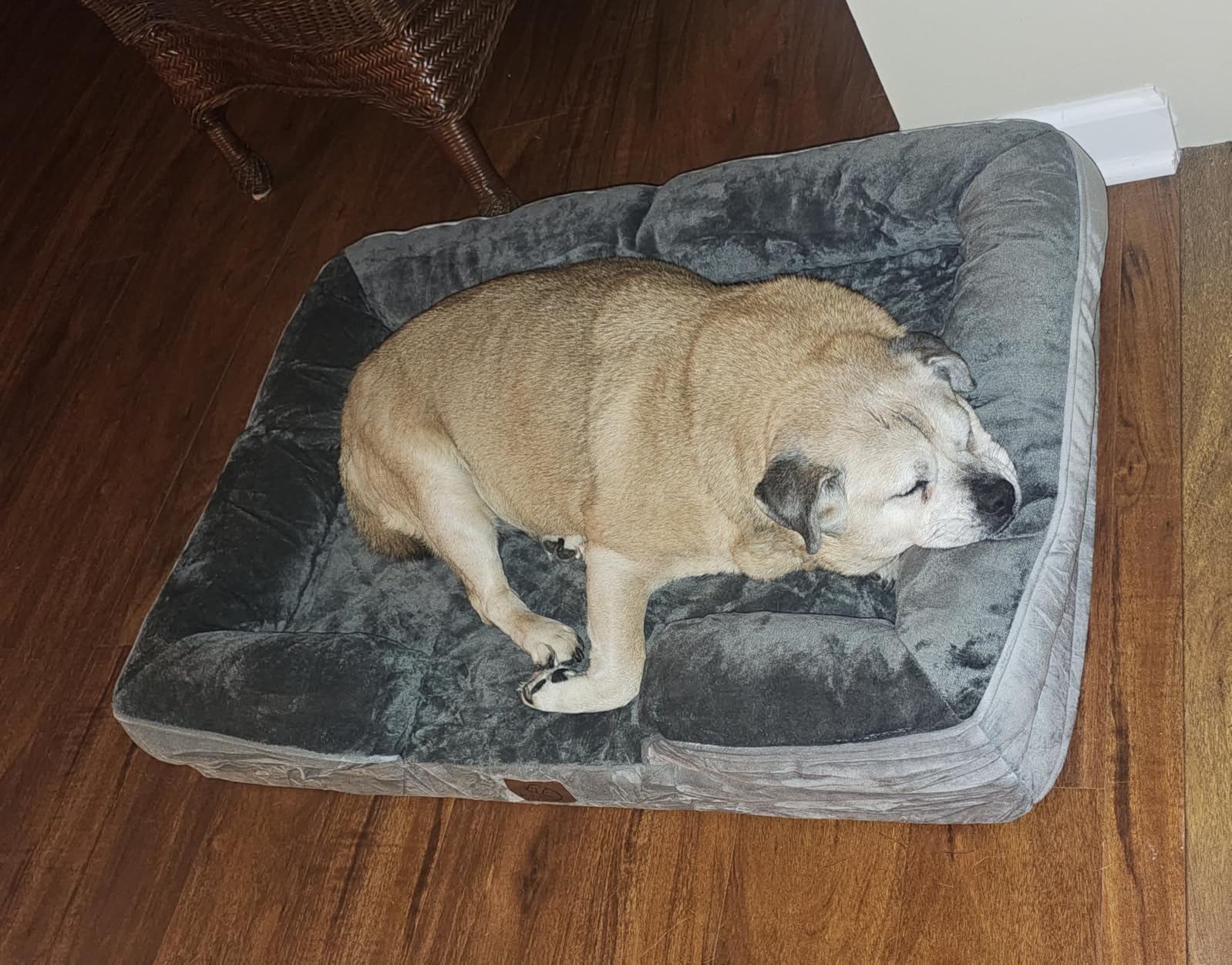 Bedsure Orthopedic Dog Beds Large Sized Dog with Removable Washable Cover | 38