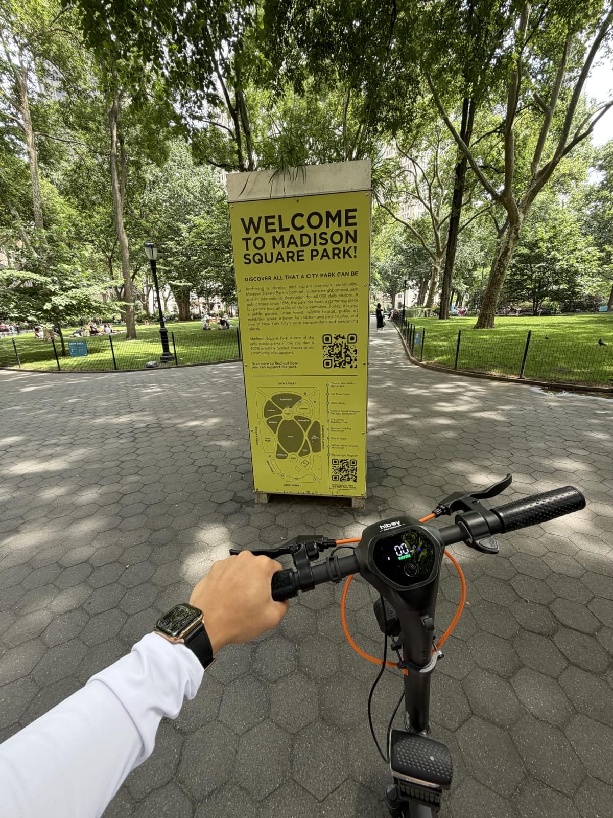 Hiboy MAX Pro Electric Scooter, 46.6 Mi Long Range, 22 MPH Power by 650W MAX Motor, 11'' Pneumatic Tires, Split Hub Design, Dual Suspension, 265lbs MAX Load, Commuting Electric Scooter for Adults customer photo 2