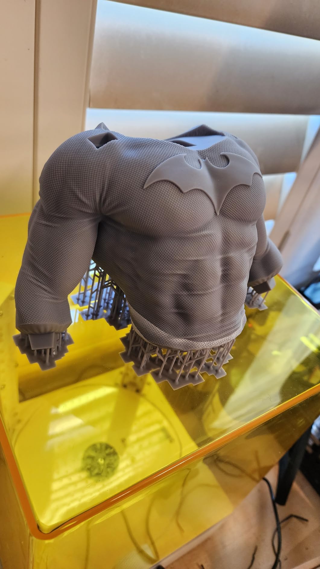 ELEGOO Upgraded Standard Resin 2.0, 405nm LCD Rapid UV-Curing 3D Printer Resin, Higher Precision, Lower Shrinkage, Non Toxic 3D Photopolymer Resin for LCD/MSLA/DLP 3D Printing, Grey 2000G customer photo 2
