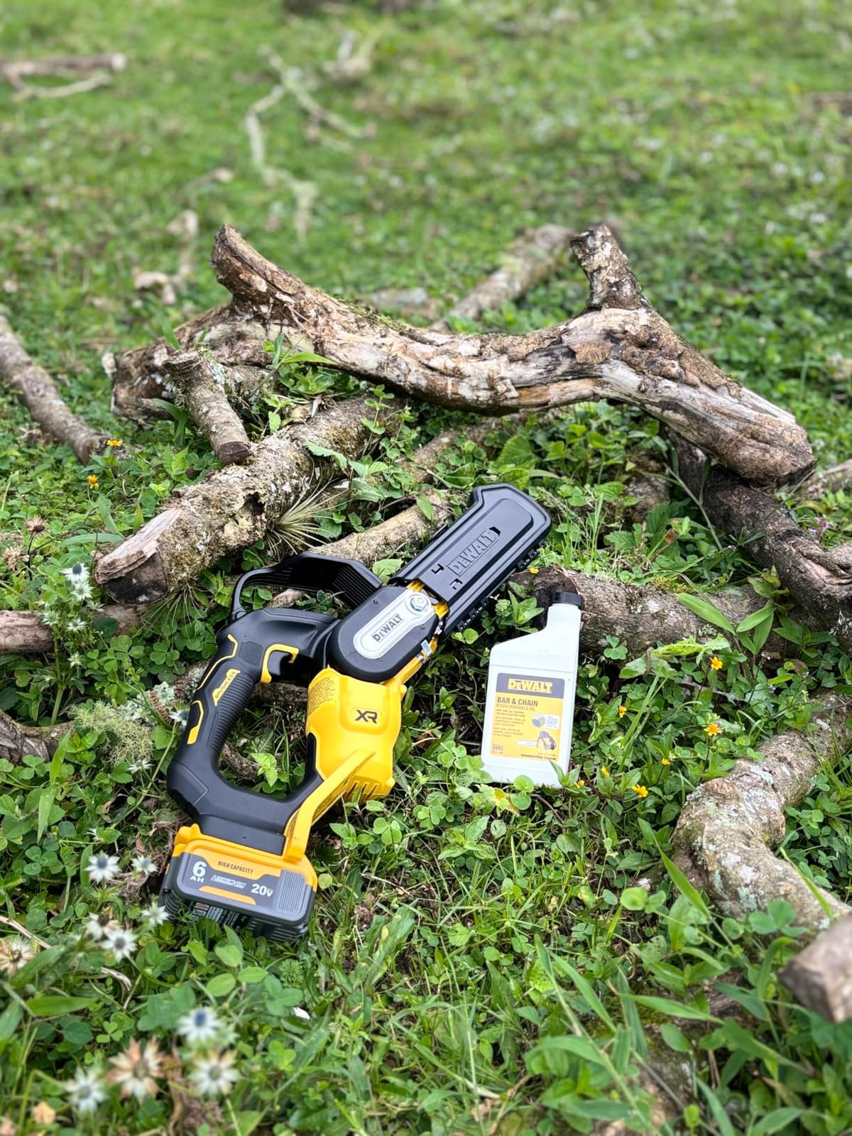 DEWALT 20V MAX 8 Inch Brushless Cordless Pruning Chainsaw (DCCS623B) customer photo 1