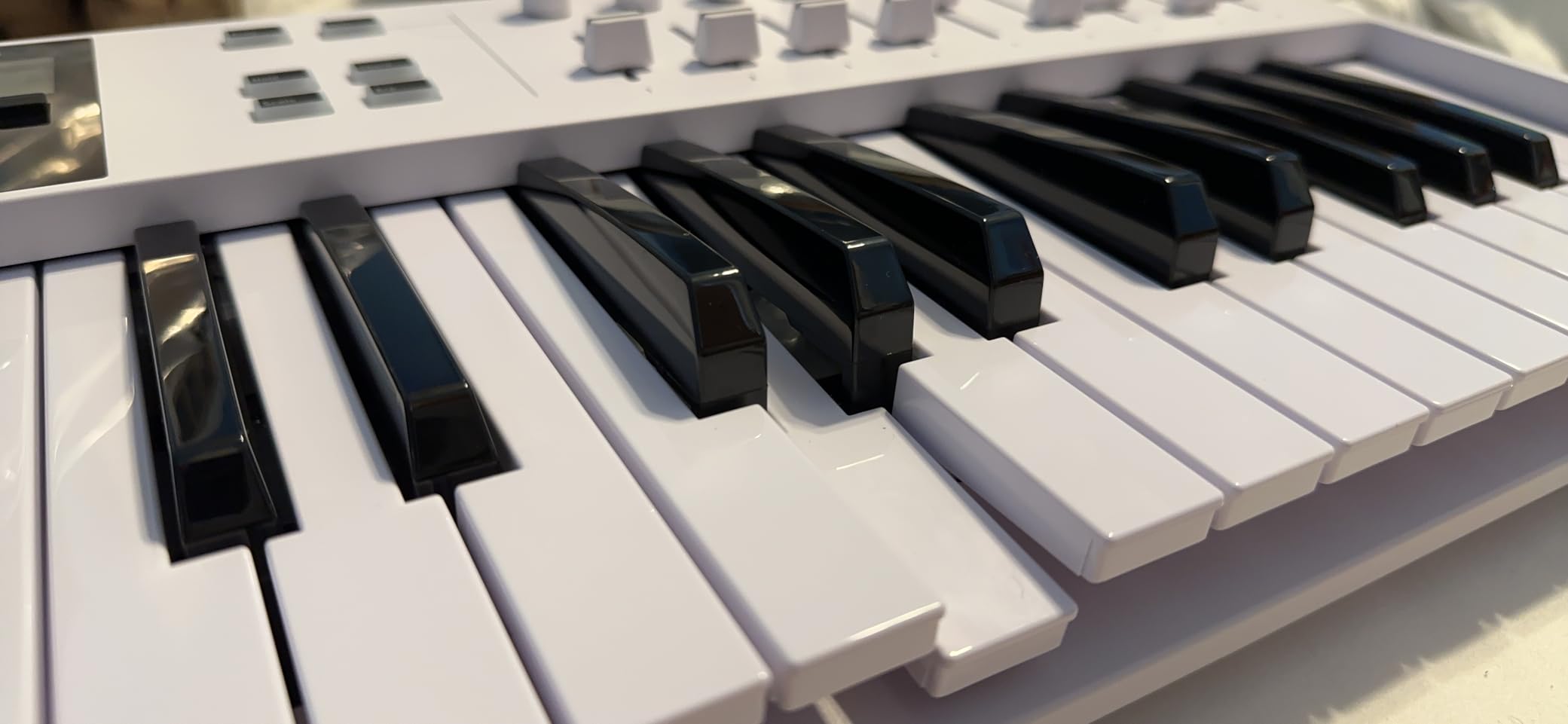 Arturia KeyLab Essential mk3 - 49 Key USB MIDI Keyboard Controller with Analog Lab V Software Included customer photo 2