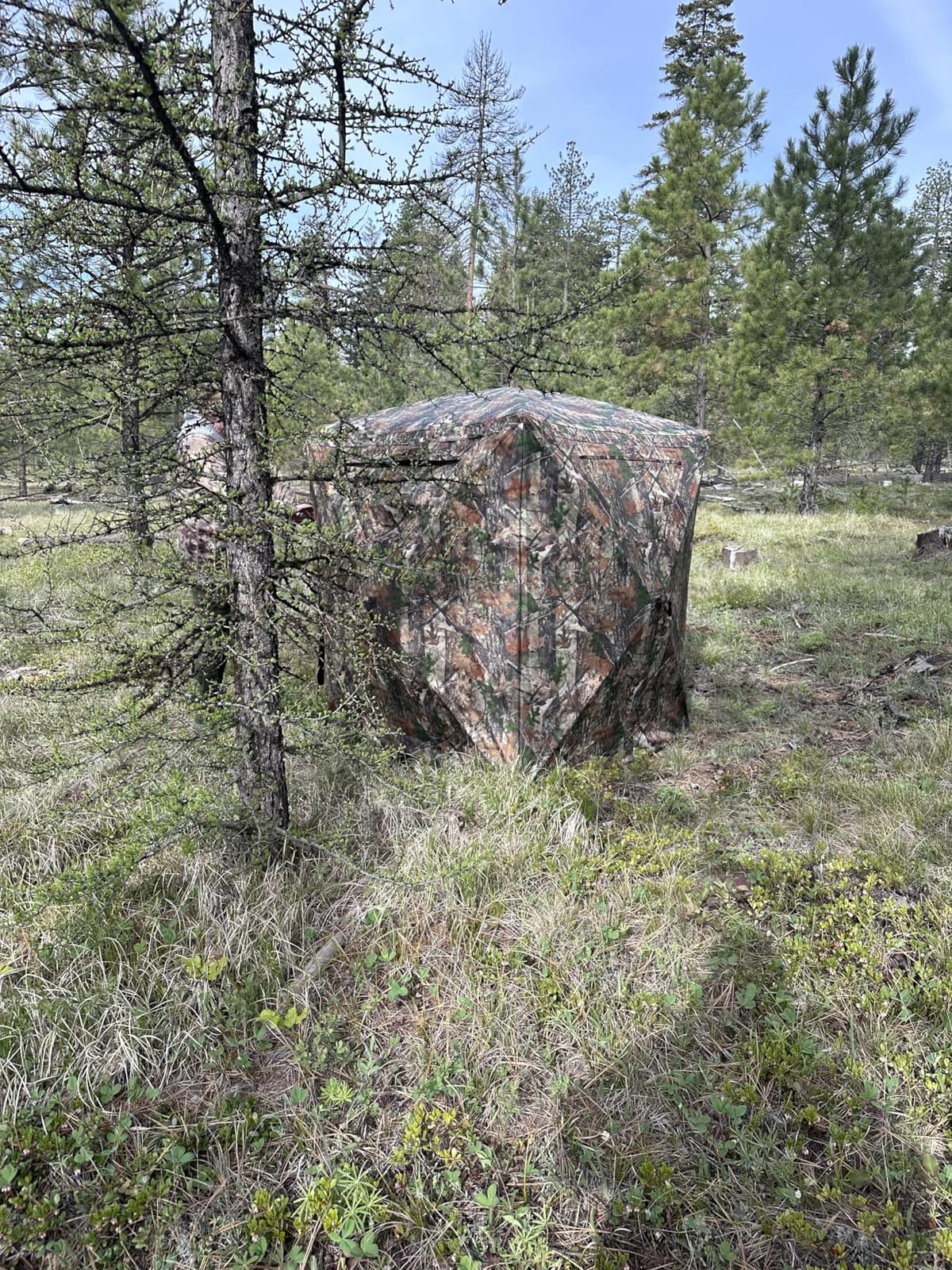 Lenotos Hunting Blind, 2 Person Pop Up Blinds 360 Degree See Through customer photo 1