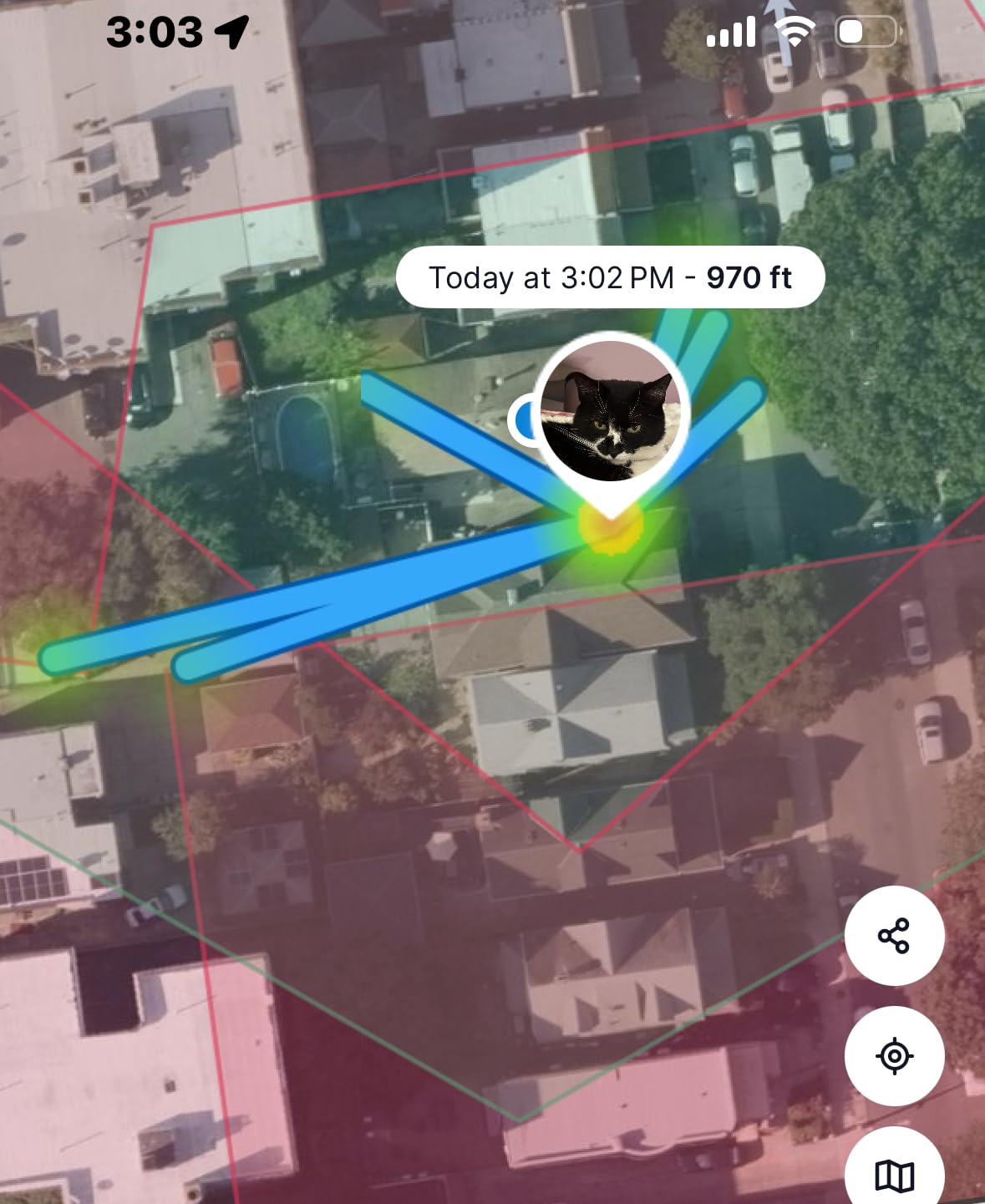 Tractive Smart Cat GPS Tracker - Real-Time Location & Wellness Monitoring for Cats 6.5 lbs+ | Territory & Location History | Up to 5-Day Battery | Breakaway Collar Included (Dark Blue) customer photo 1