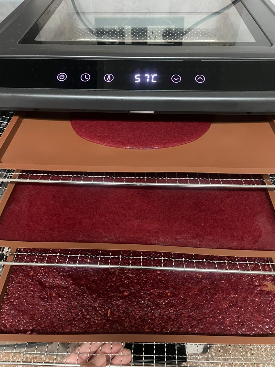 Electric Food Dehydrator Performance Series 10-Tray with Adjustable Temperature Control Includes Stainless Steel Drying Trays Glass Door Top View Window and LED Display Progress Bar, Black customer photo 2
