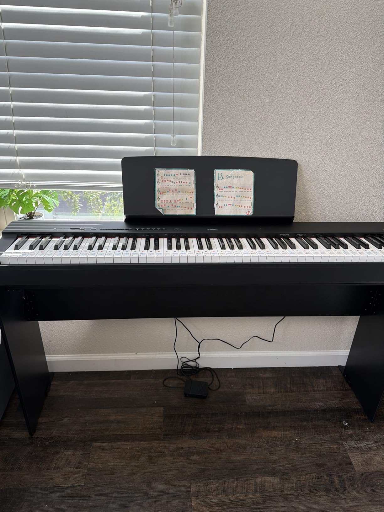 Yamaha P225 88-Key Digital Piano with Weighted Keys, Portable Design, Keyboard, Music Rest, Sustain Foot Switch, and Built-In Speakers, Black (P225B) customer photo 1