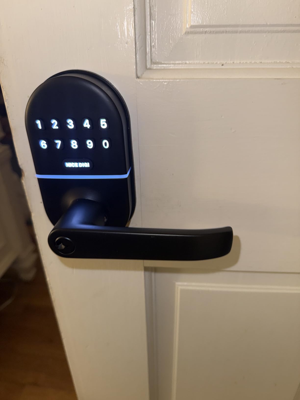 Keypad Door Lock with Handle, Smart Keyless Entry with Code for Front Door | No App or Wi-Fi, Easy DIY Install, with 20 Passcodes and 2 Keys, Auto-Lock, One-Touch Lock, Passage Mode, Backlit Keypad customer photo 2