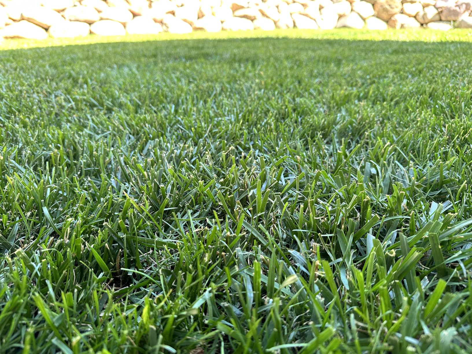 Greenworks 80V 21 in Self-Propelled Lawn Mower, 4.0 Ah Battery and Charger customer photo 1