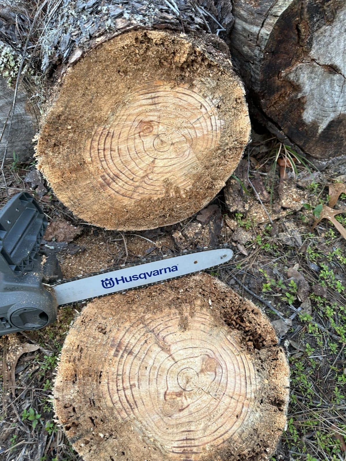 Husqvarna Power Axe 225i Battery Operated Chainsaw, 14-inch Electric Chainsaw with Battery and Charger customer photo 1