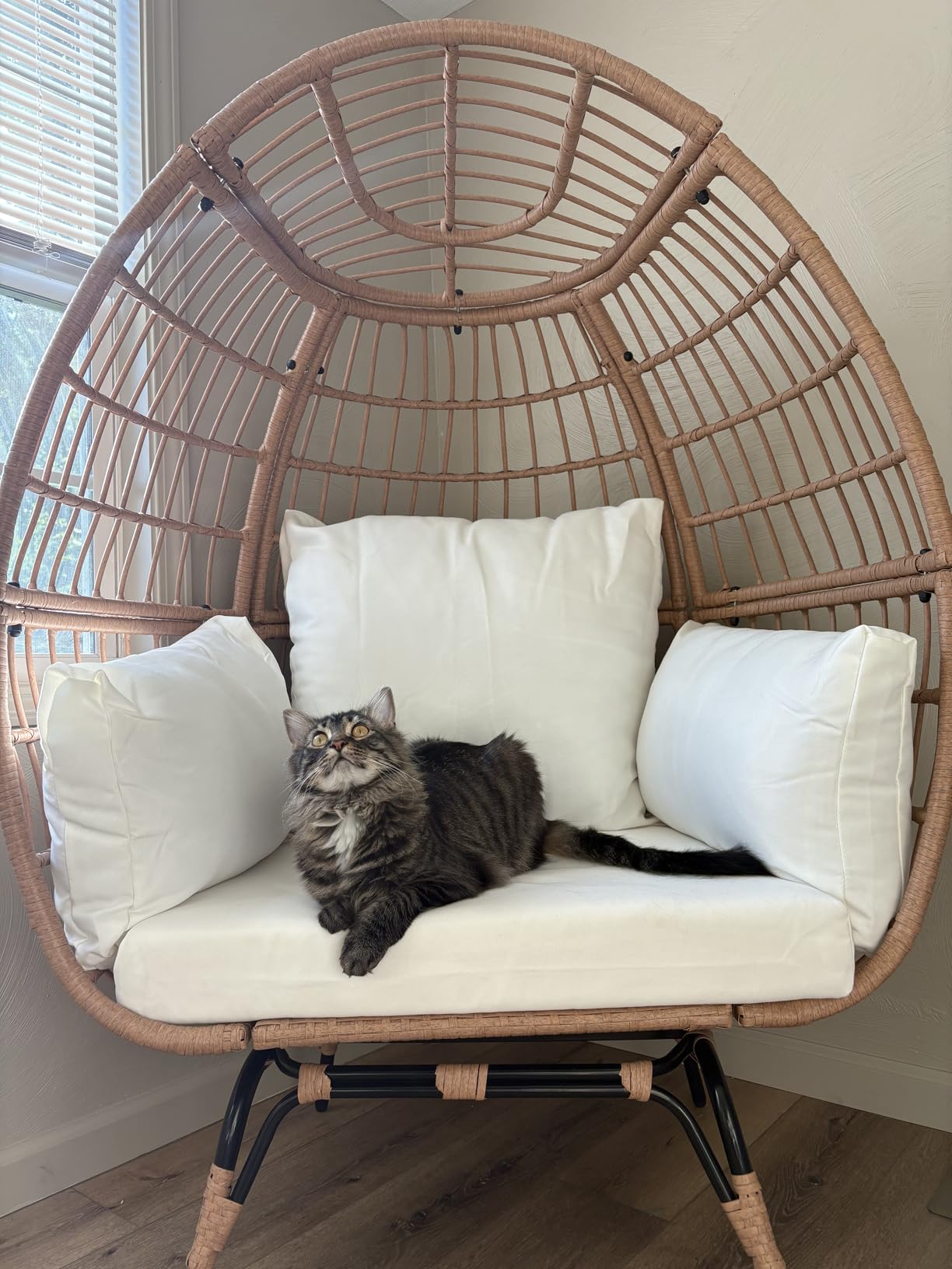 Murago 360°Swivel Indoor/Outdoor Oversized Rattan Egg Chair | Patio Wicker Egg Chair with Overstuffed Cushions, 440lb Weight Capacity, Natural/Beige customer photo 2