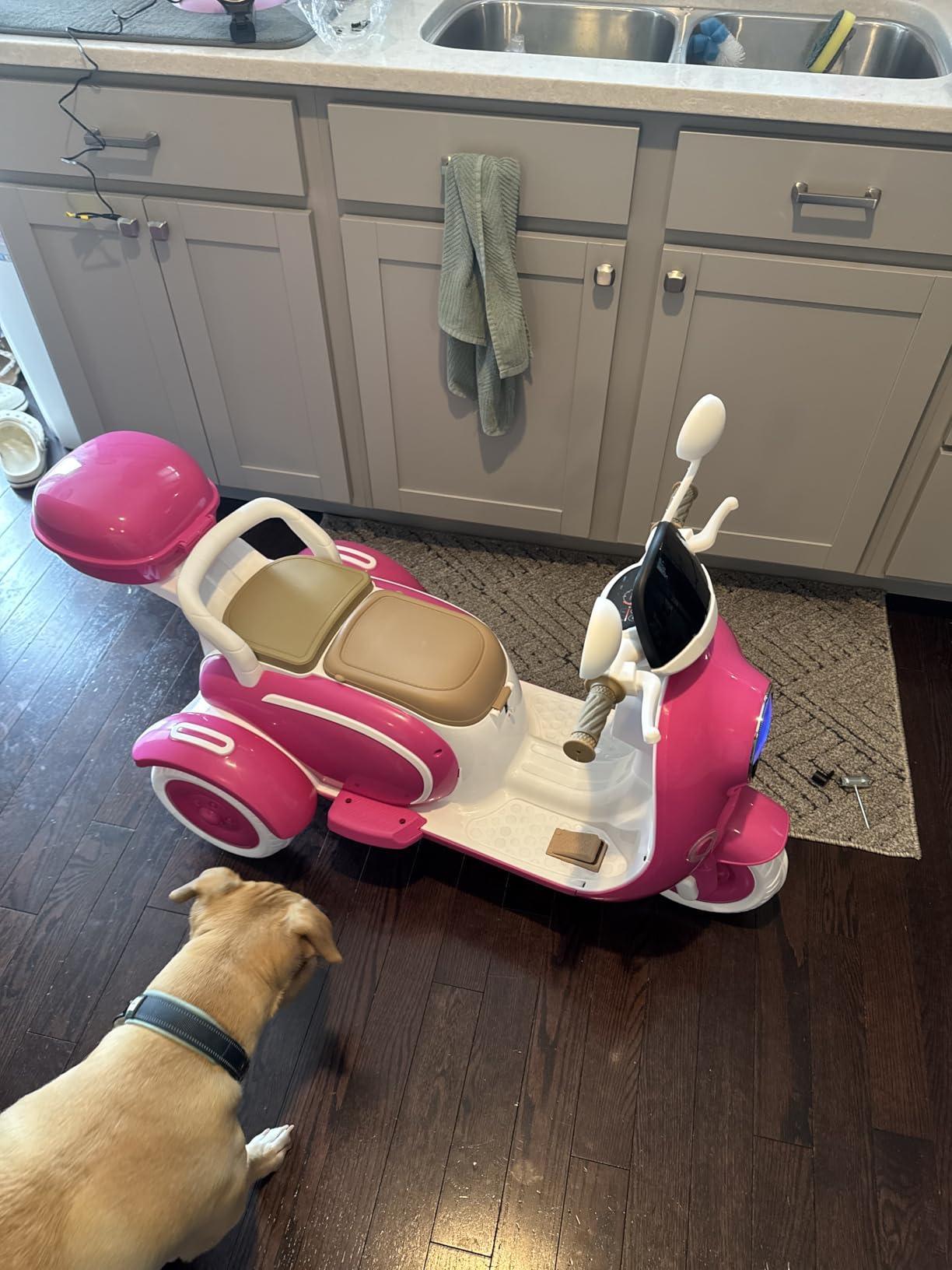 12V 2-Seater Ride on Motorcycle for Kids customer photo 1